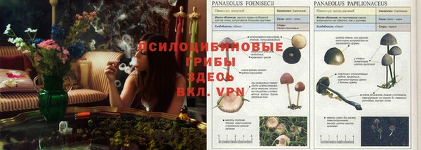 мефедрон Аркадак
